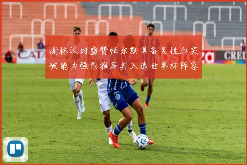 谢林汉姆盛赞帕尔默具备灵性和突破能力强烈推荐其入选世界杯阵容