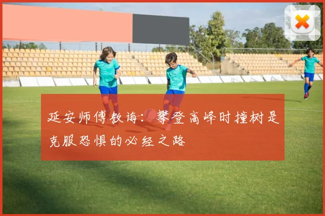 延安师傅教诲：攀登高峰时撞树是克服恐惧的必经之路